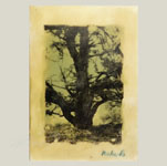 Encaustics