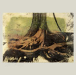 Encaustics
