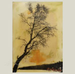 Encaustics