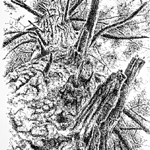 Pen and Ink