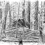 Pen and Ink
