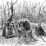 Pen and Ink