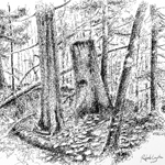 Pen and Ink