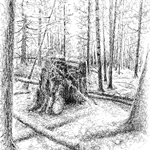 Pen and Ink