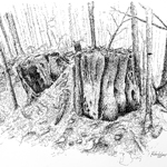 Pen and Ink