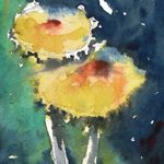 Watercolours by Lampitoc