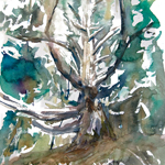 Watercolours by Lampitoc